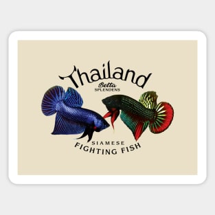 Betta Splendens Sticker